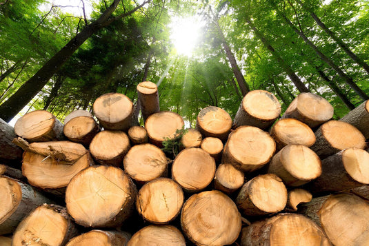 From Tree to Firewood: The Complete Equipment Guide