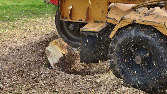 Stump Grinder Safety & Best Practice: What Every Homeowner Should Know