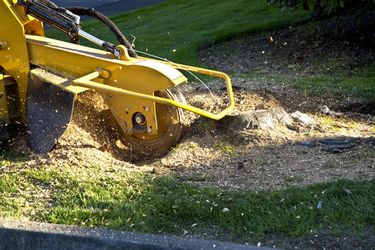 Stump Grinding 101: Tools, Tips and Safety