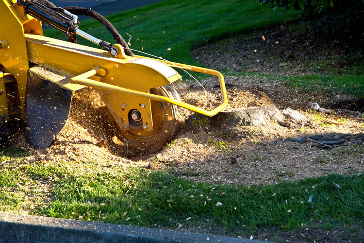 Stump Grinders & Other Essential Tree Management Tools
